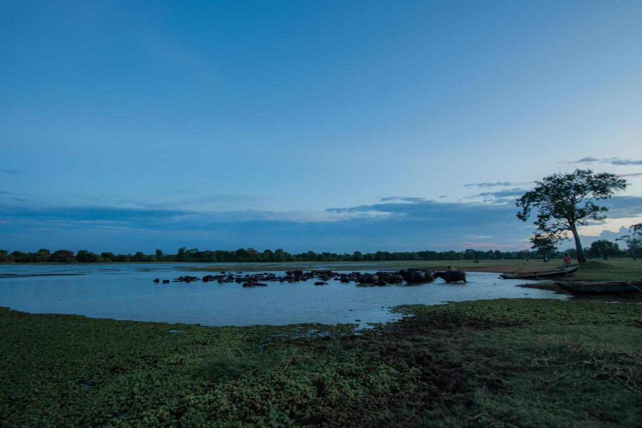 Willa Tranquil Wild Tanamalwila Zewnętrze zdjęcie